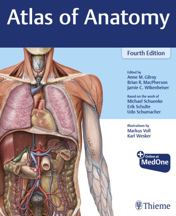 Thieme Atlas of Anatomy 4th Edition