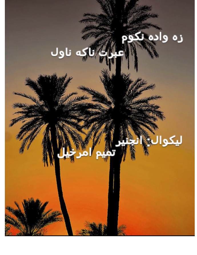 I am not getting married (Za wada na kawom) Novel